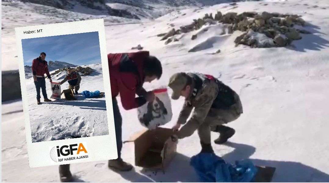 Jandarma ekipleri yaban hayvanları için doğaya yem bıraktı